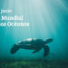 Día Mundial de los Océanos: guardianes de la vida en la Tierra