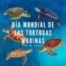 Día Mundial de la Tortuga Marina: una fecha para proteger a un habitante milenario