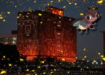 Festival de Luciérnagas UNAM llega al Museo de Historia Natural y Cultura Ambiental