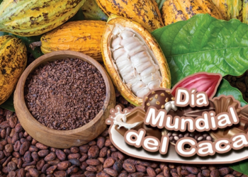 Día Mundial del Cacao: homenaje al origen y a quienes cultivan el alimento de los dioses