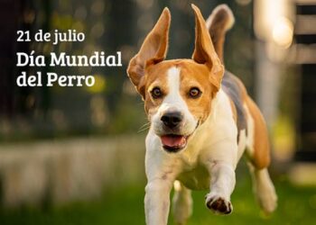 Día Mundial del Perro: homenaje a la lealtad y la vida compartida