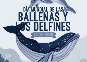 Día Mundial de las Ballenas y los Delfines: Guardianes de nuestros océanos