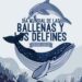 Día Mundial de las Ballenas y los Delfines: Guardianes de nuestros océanos
