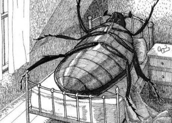La metamorfosis: el inquietante espejo de la condición humana