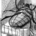 La metamorfosis: el inquietante espejo de la condición humana