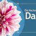 Día Nacional de la Dalia: Orgullo Floral de México