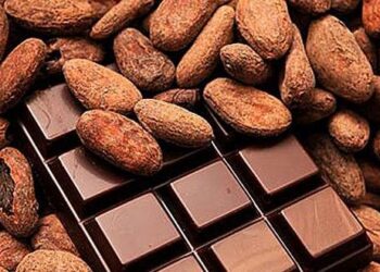Día Nacional del Cacao y el Chocolate: Herencia viva de México