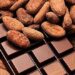 Día Nacional del Cacao y el Chocolate: Herencia viva de México